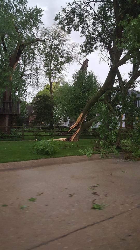Mason City